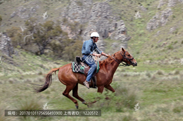 人和馬