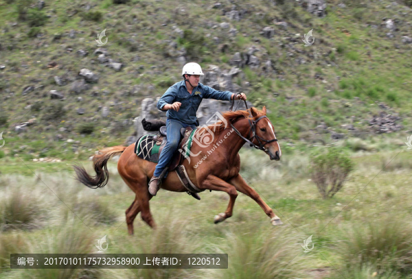 人和馬