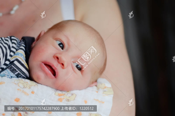 寶寶看