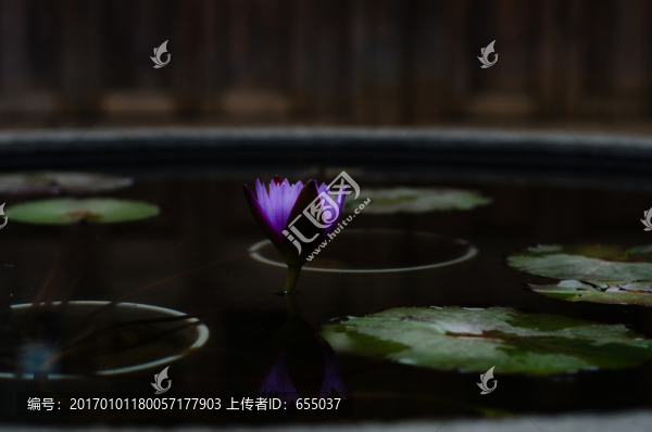 三坊七巷