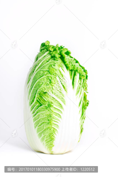 新鮮的卷心菜