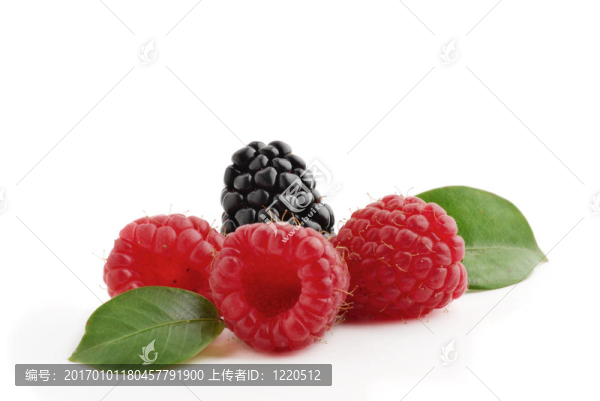 漿果