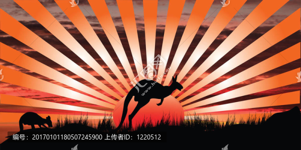 袋鼠的日落