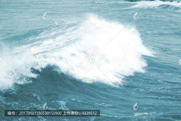 大波浪