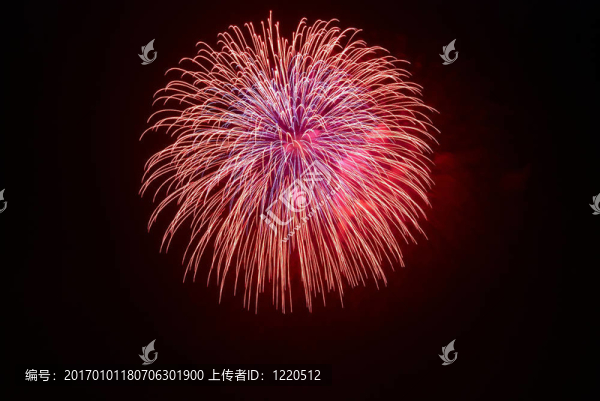 美麗的煙花
