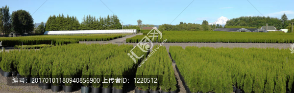 俄勒岡農(nóng)業(yè)企業(yè)。