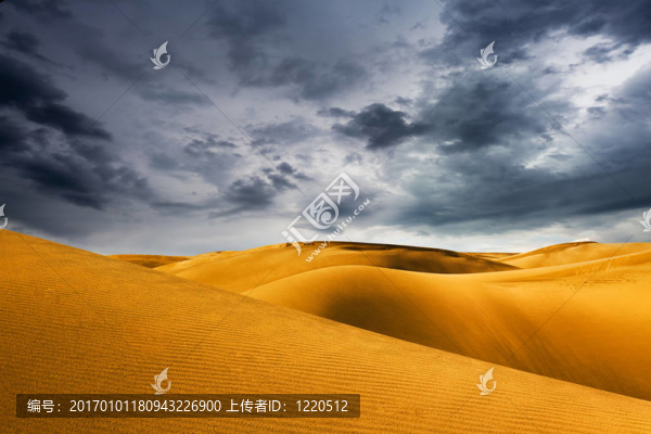 沙漠