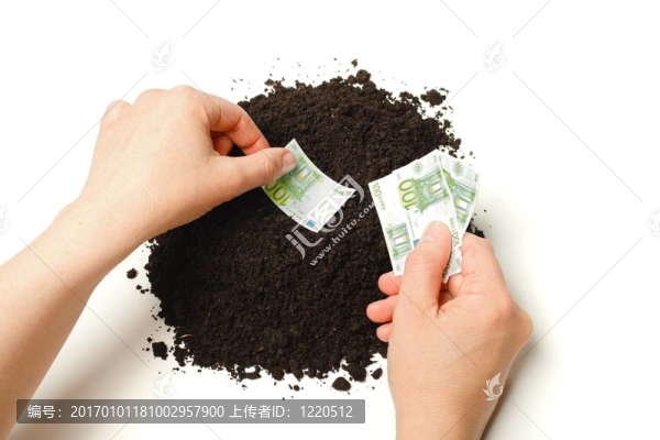 手工種植歐元紙幣