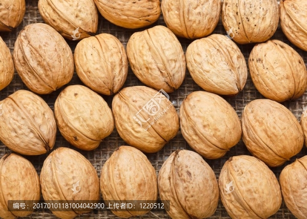 排列核桃頂視圖