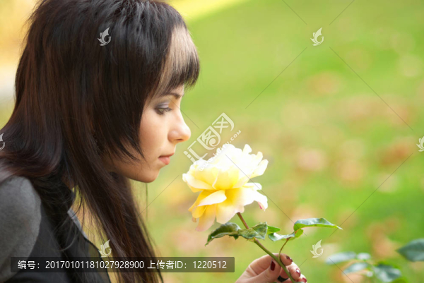 玫瑰少女