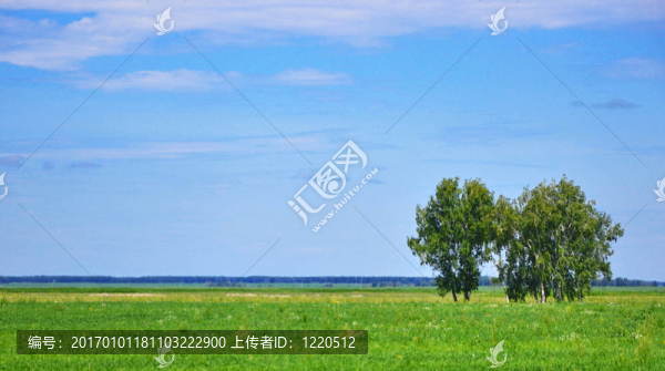 以背景云為背景的青草田景觀