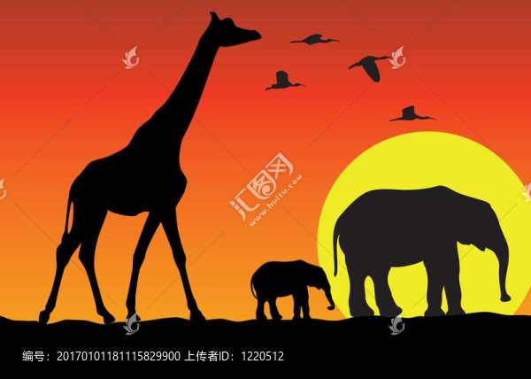 非洲長(zhǎng)頸鹿和大象