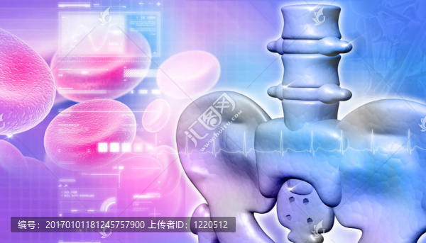 數(shù)字化設(shè)計(jì)中的三維髖關(guān)節(jié)