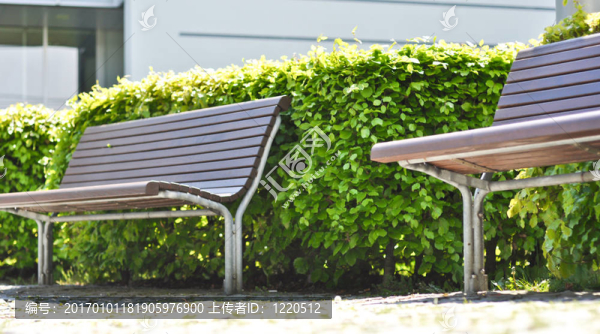 木制的臺(tái)階在布什面前-匯圖網(wǎng) www.fosd68.com 木制的臺(tái)階在布什面前