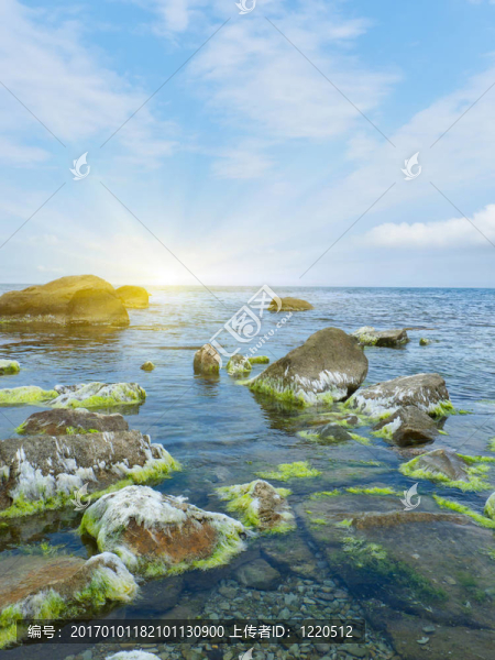天然成分