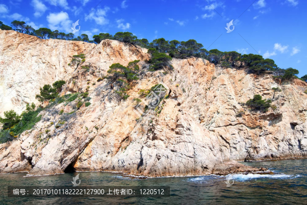 在布拉瓦海岸海岸的懸崖