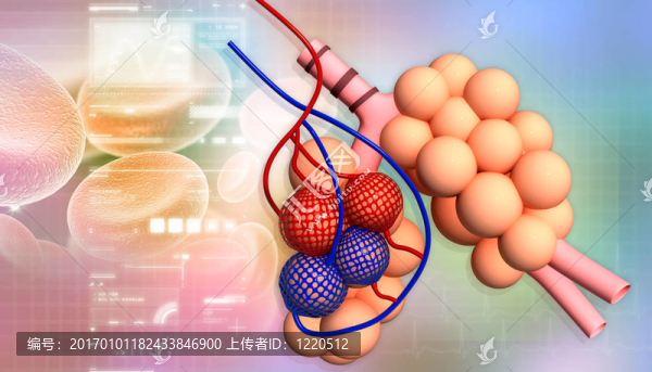 在抽象的設(shè)計Alveoli