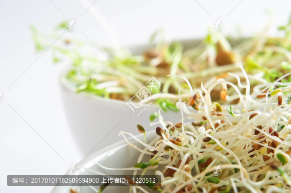 豆芽碗特寫