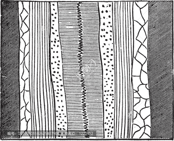 地質(zhì)脈絡(luò)；復(fù)古插圖。
