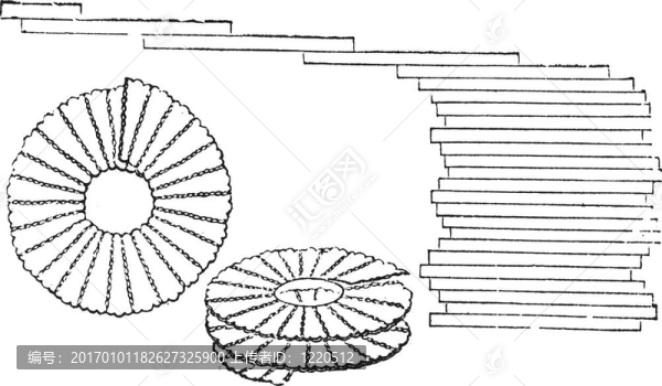 硅藻；復(fù)古插圖