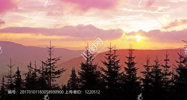 粉紅色的黎明
