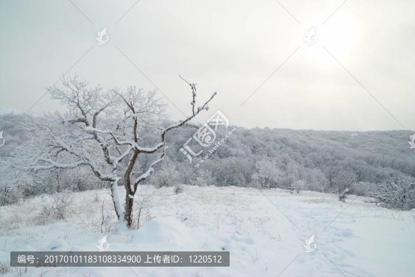 冬季景觀