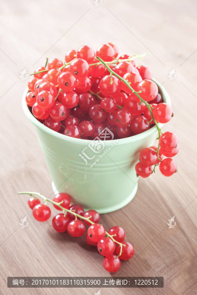 紅醋栗