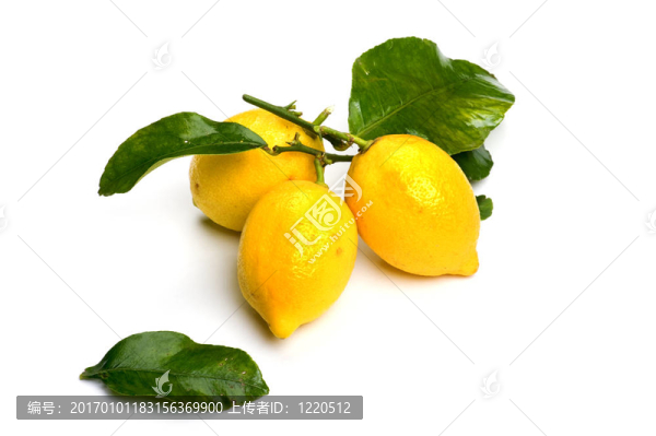 三檸檬白