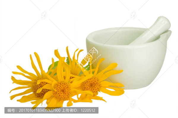 豹的危害與砂漿