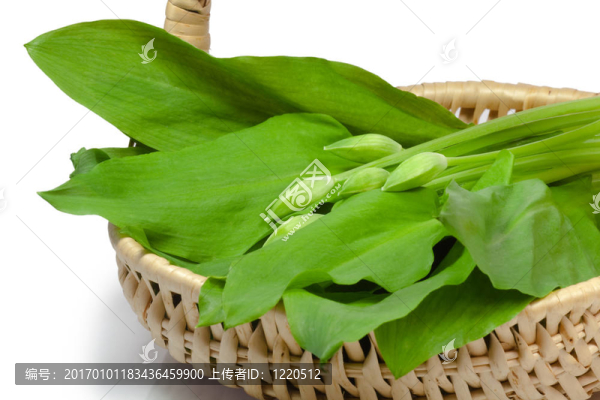 在一個籃子里，Ramsons
