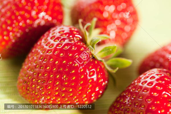 紅色的草莓-匯圖網(wǎng) www.fosd68.com 紅色的草莓