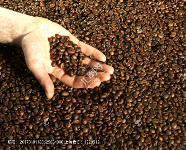 手和咖啡豆
