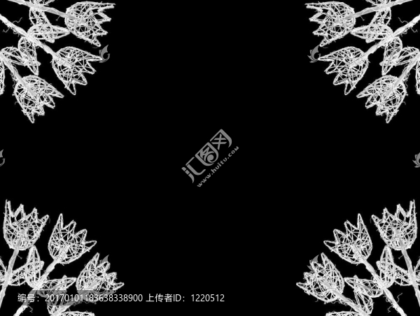 白色郁金香框架