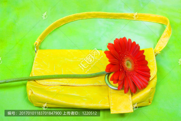 夏天的技能生活與非洲菊