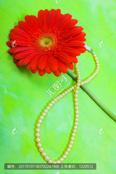 紅太陽(yáng)和珍珠