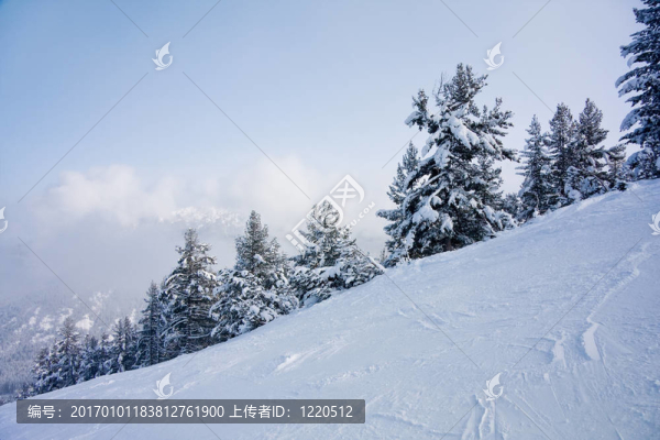 滑雪坡和冬山全景