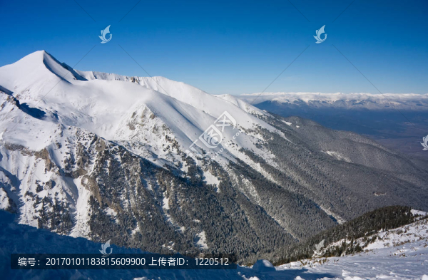 冬山景觀。保加利亞；班斯科