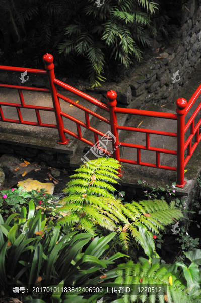 蒙特宮熱帶花園