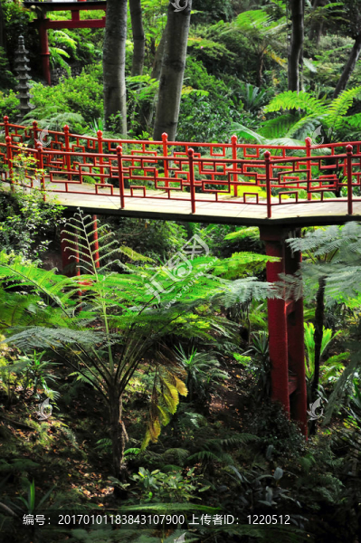 蒙特宮熱帶花園