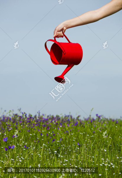 澆花