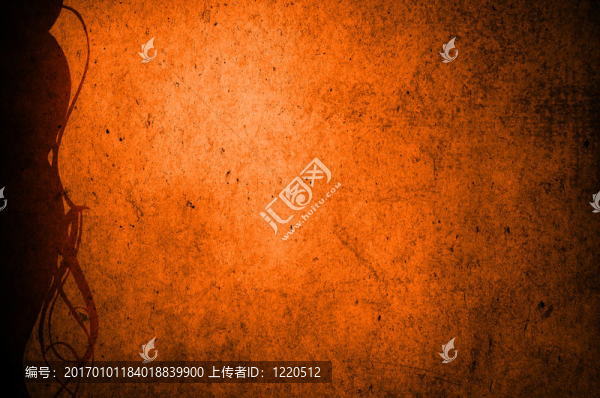 花卉風(fēng)格的紋理和背景框架與空間為您的設(shè)計(jì)