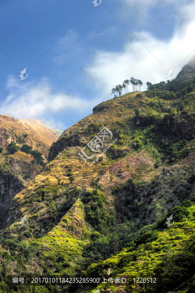 背山馬德拉群島島