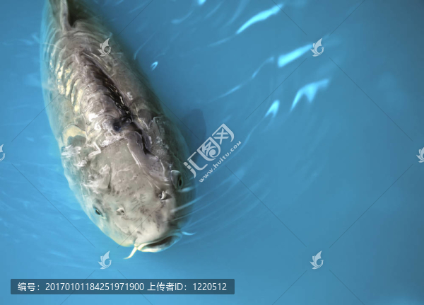 挑剔