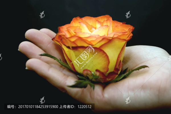 拿著花