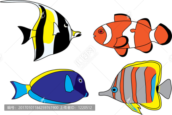 熱帶魚(yú)集