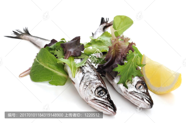 魚