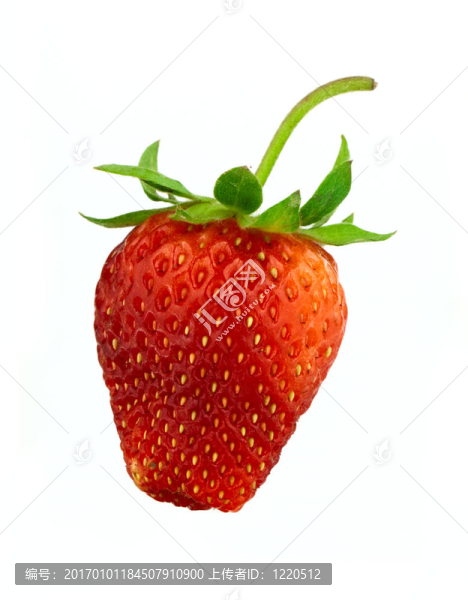 草莓