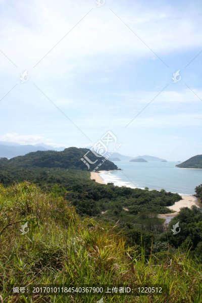 巴西海岸-匯圖網(wǎng) www.fosd68.com 巴西海岸