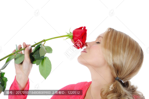 美麗的女孩與紅玫瑰。