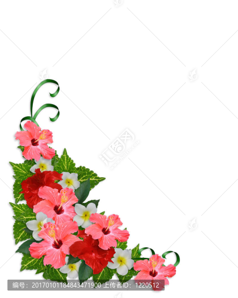 熱帶花卉角緣
